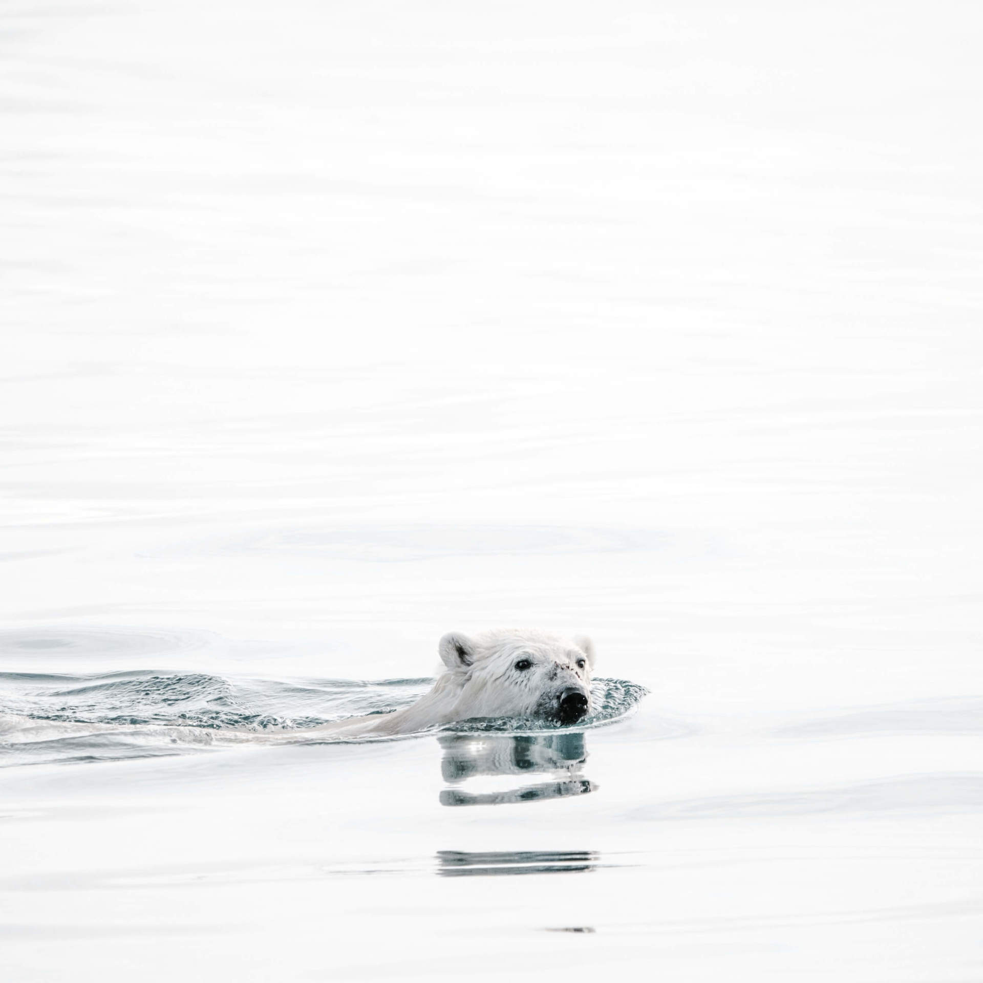 Annie Spratt F2m5uynt62u Unsplash