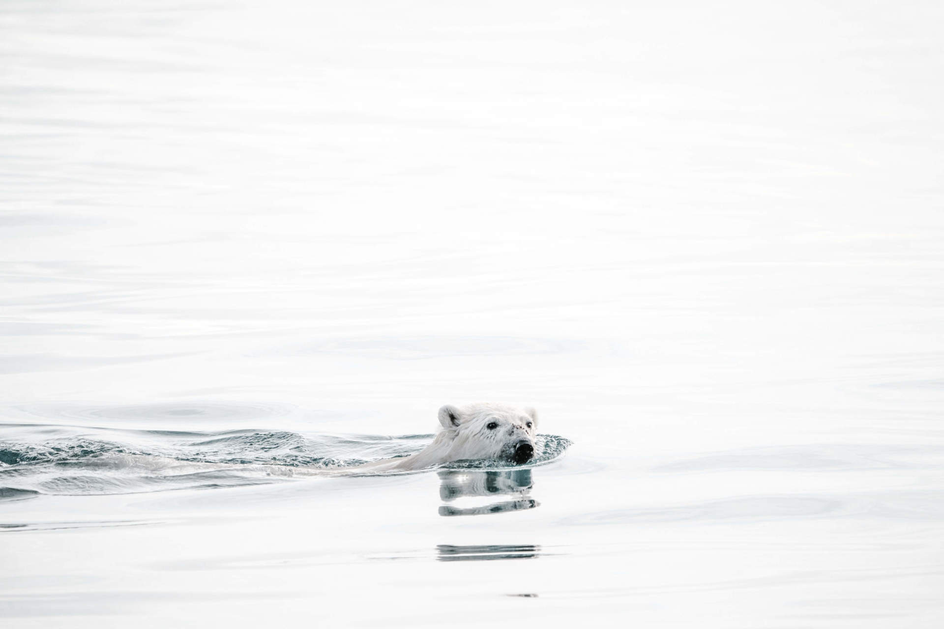 Annie Spratt F2m5uynt62u Unsplash