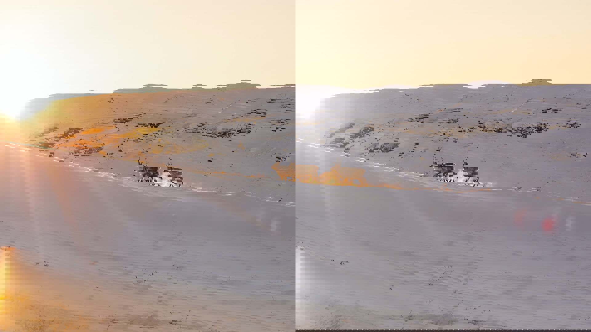 Filip Gielda 5P Il4ise04 Unsplash