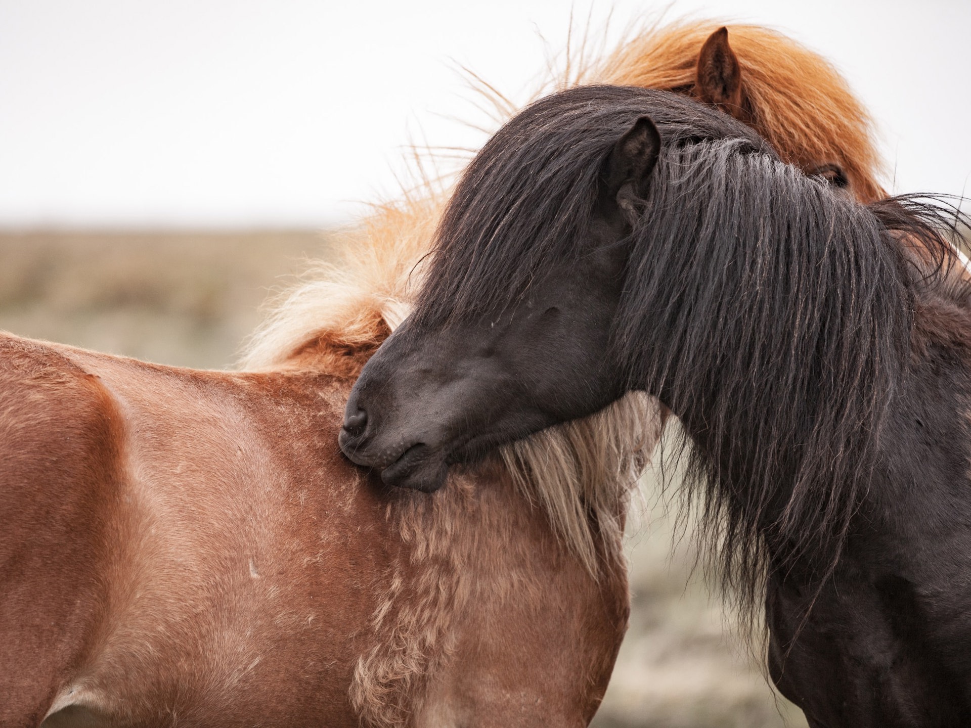 Thibault Carron Sgj7pe3z H8 Unsplash