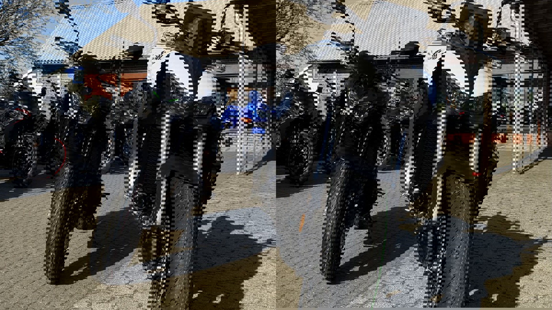 483508405 1140037841251236 4332831271746933206 N