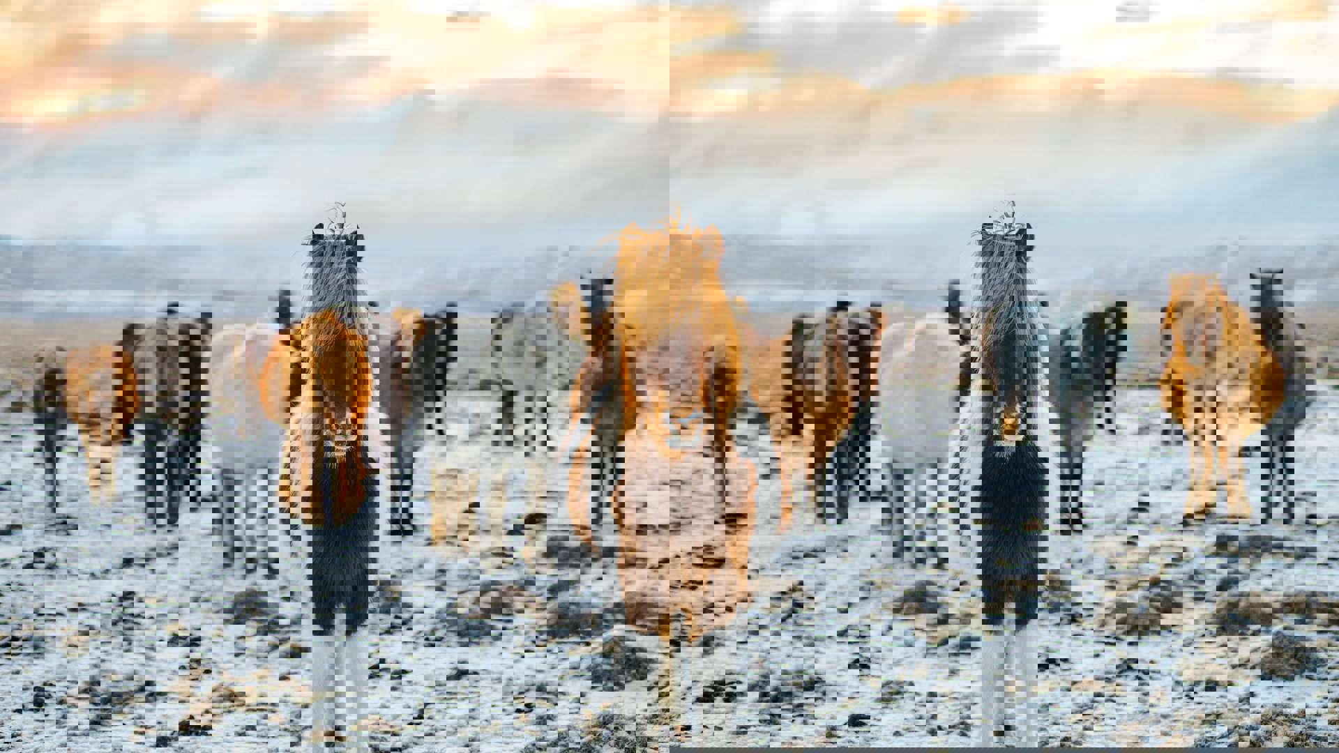 Redcharlie O7zkynkq1lm Unsplash